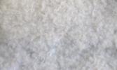 Cotton